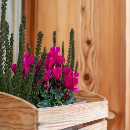 Casera Moda Luxury Chalet Chies d'Alpago Exterior photo